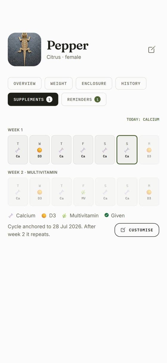 Schedule your supplements and stay consistent