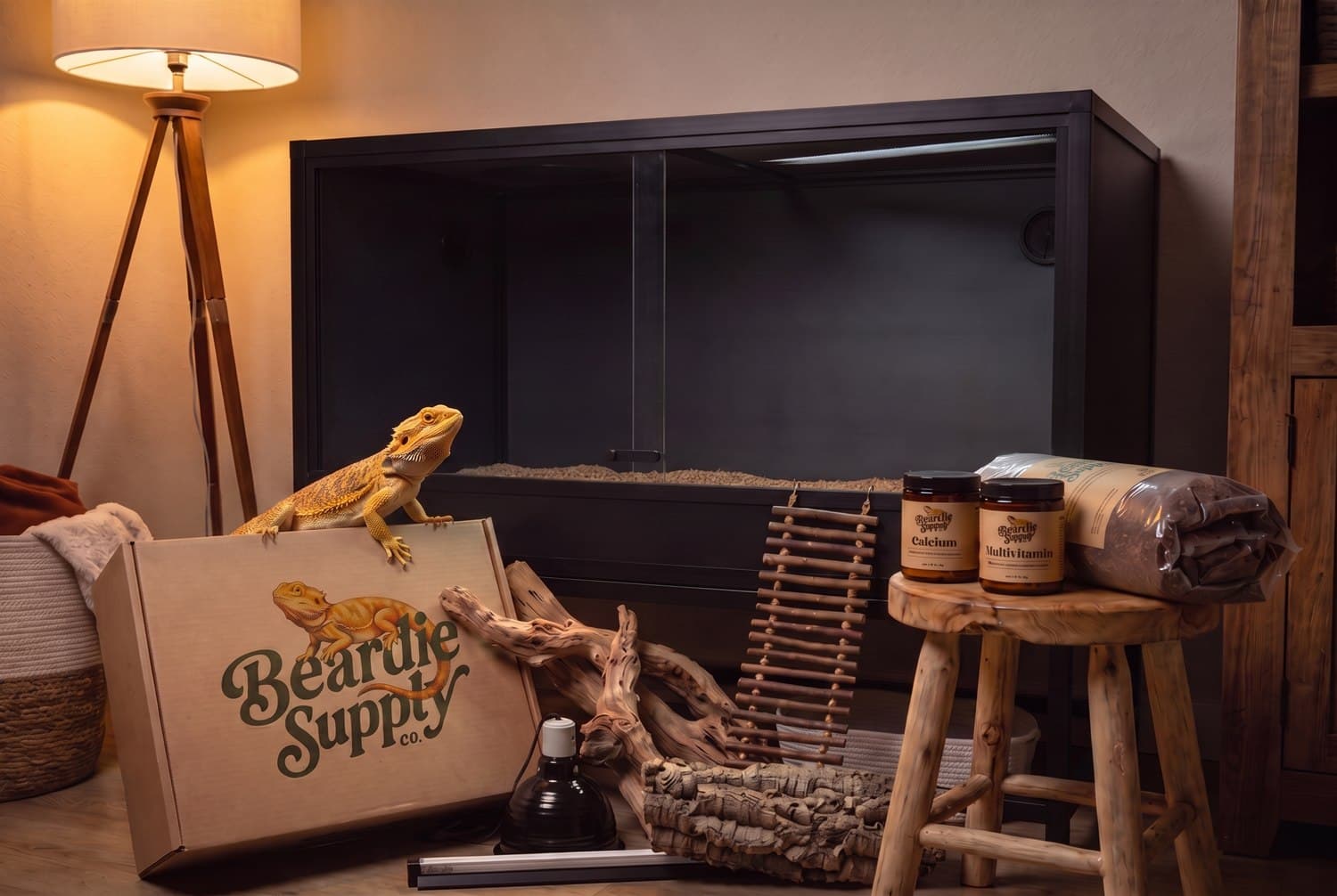 Setup day: an empty enclosure with the Beardie Supply box, lamps, wood and supplies laid out in front